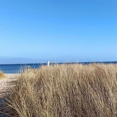 Schwedenstern 펜션 *